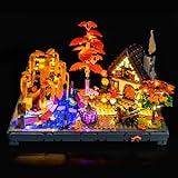 Juego de luces LED compatible con Lego 11372 Autumn Cottage Garden (no modelo), juego de iluminación decorativa compatible con Lego Autumn Cottage Garden Bloques de construcción modelo