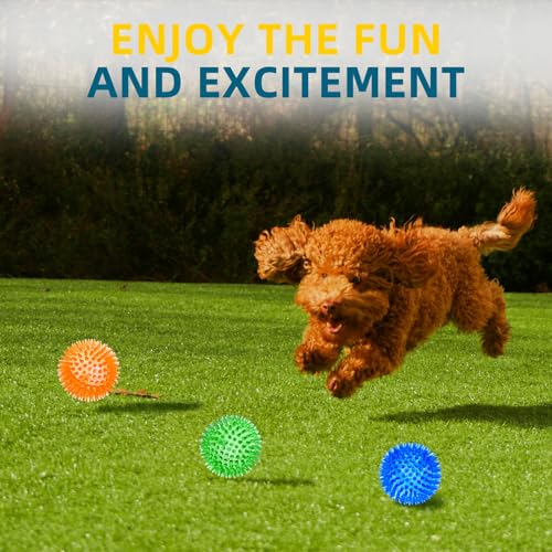 SHARLOVY Quietschbälle für kleine Hunde, 7,6 cm, 4 Farben, stachelige Hundebälle zum Zahnen, langlebiges Kauspielzeug für Welpen, unzerstörbares Spielzeug zum Apportieren und Trainieren, BPA-frei,