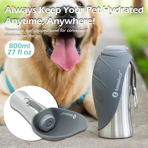 LumoLeaf Hundetrinkflasche für unterwegs, 800ml Edelstahl Trinkflasche Hund, Tragbare Haustier Wasserflasche, Hunde Wasserspender Reise Zubehör für Wandern und Campen (Grau)