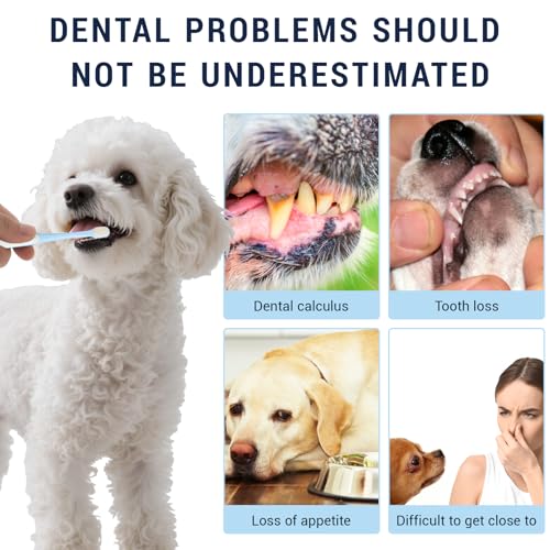 Image of Pet Toothbrush Set for Small Dogs and Cats, 4 Pack Micro Head with Soft Bristles