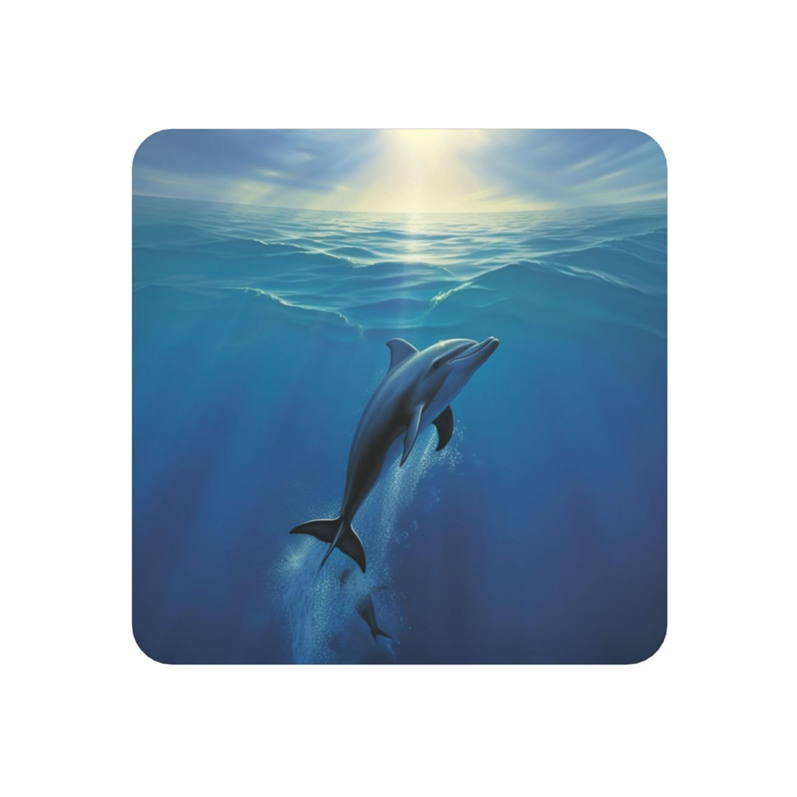 Dolphin Fridge Magnets Cute Strong Refrigerator Magnets Fun Magnet for Locker Office Whiteboard Decor, Door Magnets Decorative Magnetic Stickers for Home Decor
