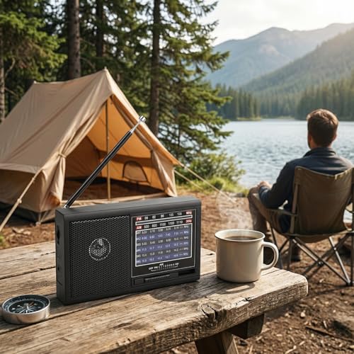 Radio portátil pequeña con antena y batería 800mAh miniatura 3