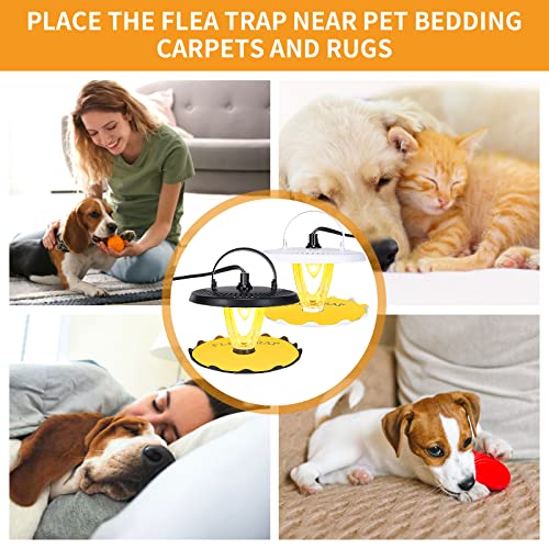 Flea Trap 2Pcs Sticky Bed Bug Traps With 4 Replacement Light Bulbs And 8 Sticky Glue Boards,Odorless Non-Toxic Killer Trap Pad Moths Cockroaches Best Control For Indoor,Safe Childern Pet Insect Traps #TOP4