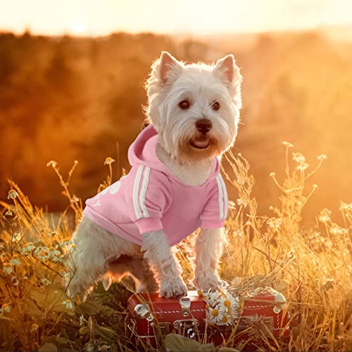 Dolahovy Hunde Hoodie Kleidung für Haustiere Hundepullover Weste Herbst Winter Hundepullover Welpenkostüme Mäntel Hundeoutfit für kleine mittelgroße Hunde Katzen Chihuahua Teddy