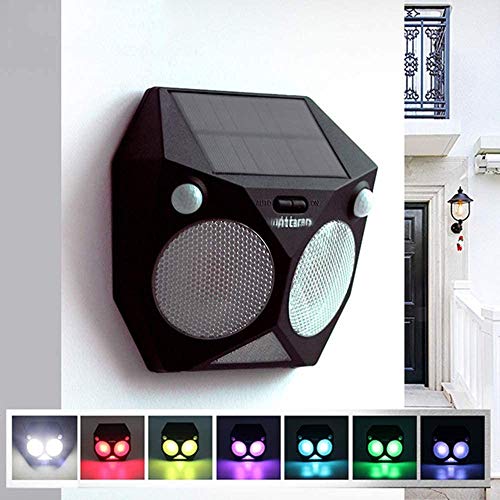 Applique murale solaire pour sécuriser vos allées sombres avec détecteur automatique