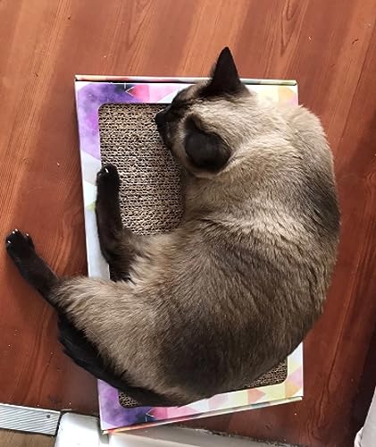 Arranhador para Gatos - Brinquedo Resistente Antiestresse - Papelão
