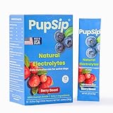 PupSip Dog Electrolytes Powder – Vet-Formulated Hydration Support & Flavored Water Enhancer for Dogs – Canine Electrolytes for Dehydration Recovery – Berry Boost, 12 Sticks