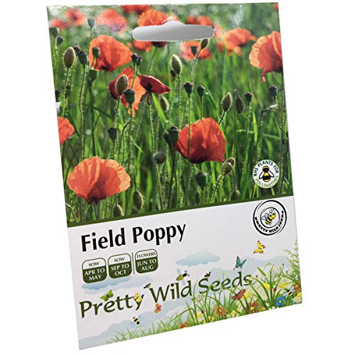 5g Common Field Poppy Seeds in Pictorial Packet from a UK Seller Approx. 50,000 Papaver Rhoeas Wildflower Seeds for Meadows and Remembrance