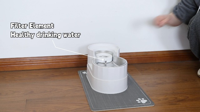Pet Supplies : RIZZARI 9L Elevated Stainless Steel Dog Water