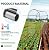 Garden Arch Trellis for Climbing Plants Outdoor - (Black, 81x36x32in) Cucumber Trellis for Raised Bed with Net, Garden Trellis for Climbing Plants, Cucumber, Vegetable, Tomato, Flowers 20mm Thick