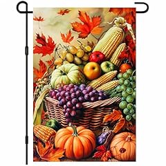 Harvest Pumpkins Corn Grapes Autumn Leaves