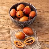 200 piezas semillas de tamarillo, tomate invierno jardín resistentes