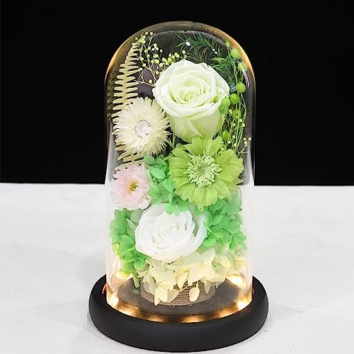  vU[uht[ dp  uU[ht[ ݂̉ AWg ~̉   e JXh[ KN [Y LED Cgt e ~ ybg ~  @ ފ @v  ̐l (O[2)