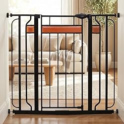 Safety Gate
