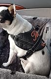 Hundegeschirr S M L XL XXL Brustgeschirr mit Wunsch Namen bestickt Kunstleder Schwarz Kupfer