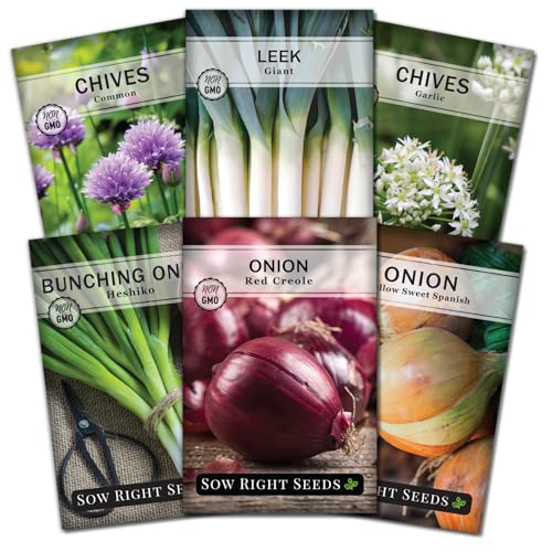 Sow Right Seeds - Onion Family Seed Collection for Planting - 6 Varieties of Chives and Onions - Hardy and Flavorful - Non-GMO Heirloom Packets with Instructions to Plant and Grow a Vegetable Garden
