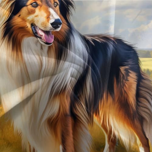 Housse de couette 200x200 Sheltie anti-plis et facile à laver - 7