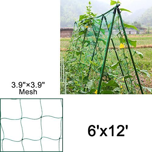MRGARDEN Netting Reinforced Edge Support for Climbing Plant Trellis Netting Garden Netting Green 3.9"-27 W6'xL12'