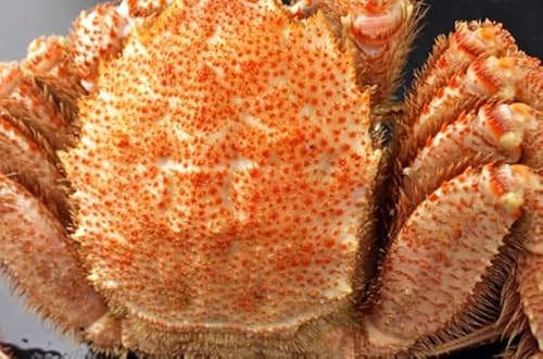 VAY@{C@уKj@p@4Kgi6`8j@hpe@i@}@j@Ɩp