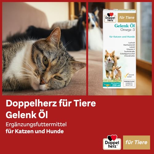 Doppelherz Gelenk Öl für Katzen und Hunde - Mit essentiellen Omega-3 Fettsäuren + Chondroitin - 250ml