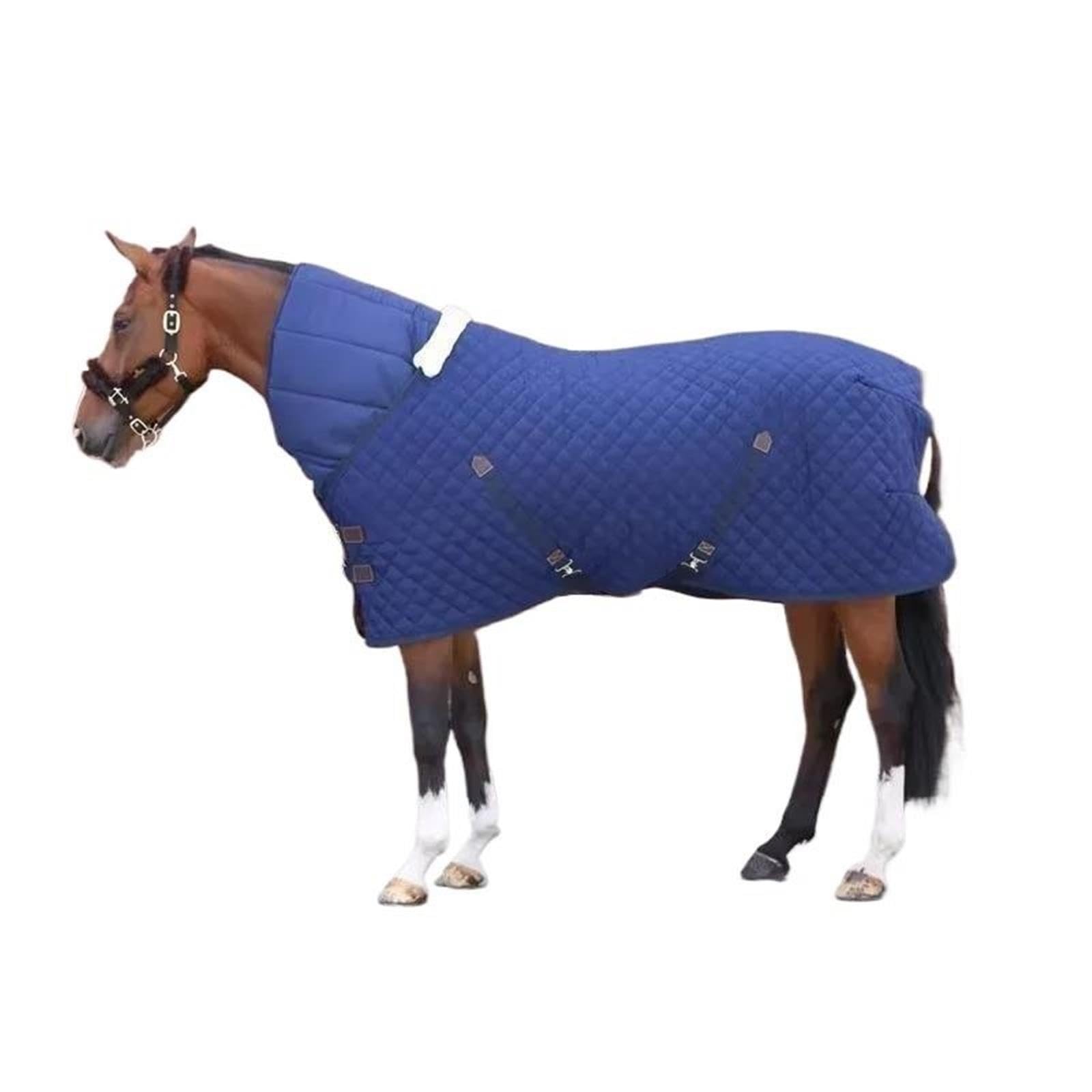 Coperta for Spettacoli Equestri for Interni | Tessuto morbido dal design ultra caldo for competizioni equestri