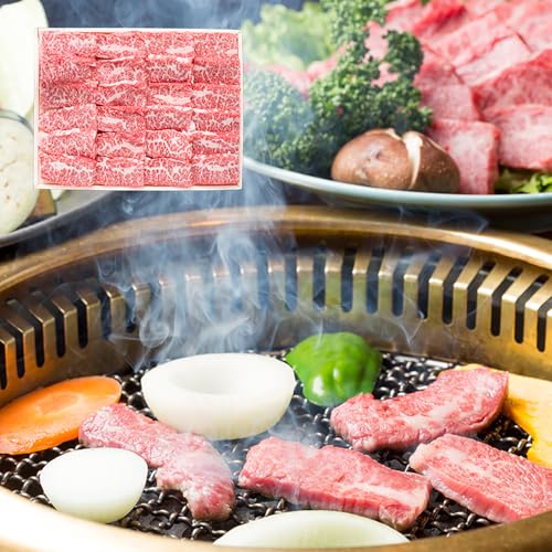 森山牧場 黒毛和牛 焼肉セット 佐賀県産 500g