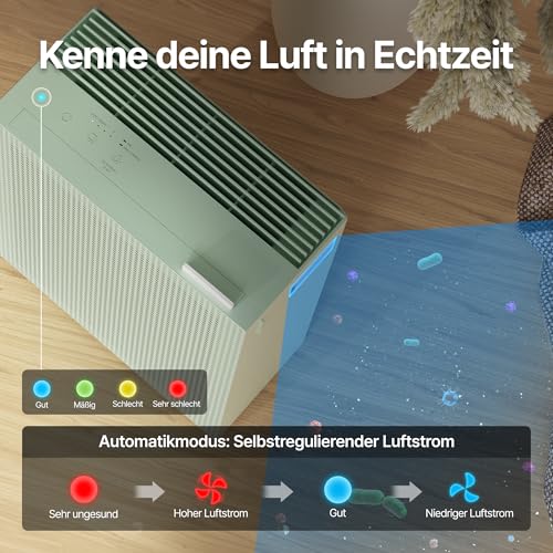 COWAY Luftreiniger für Zuhause Schlafzimmer, Haustiere, AIRMEGA 150, Grün – Ansicht 4