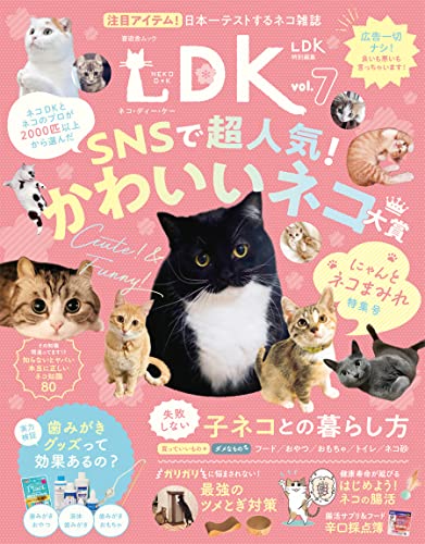 ネコDK vol.7 (晋遊舎ムック)