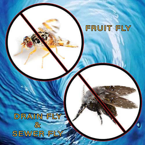 Fruit Fly & Drain Fly Killer - Simple Commercial Drain Gel Treatment – Eliminates Gross Fruit Flies, Drain Flies, Sewer Flies & Gnat Infestations From Any Drain. Fast & Easy - 1 Gallon (128 Ounces) #TOP1