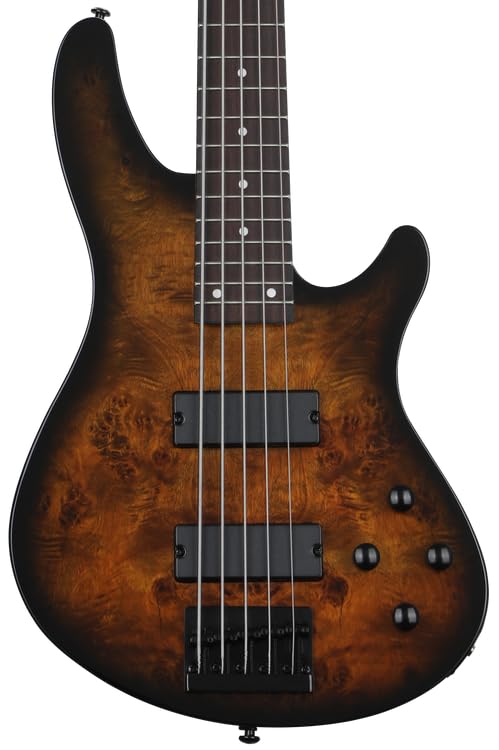 C-5 Standard 5-string Electric Bass - Tobacco Burl