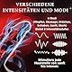 Chastity Cage Männer Keuschheitskäfig Herren Elektro Schock Penis CBT Estim für Mann Schloss Keuschheitsgürtel BDSMS Spielzeug Extrem Schocken Set Sexuelle Elektrostimulation Käfig die SM Sex Toys
