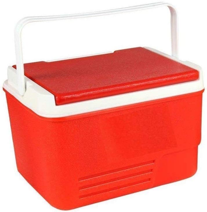 Plastic Insulated Cooler Box with Handle, 14L, Portable Chiller for Vaccines, Medicines & Lab Samples, Multi