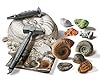 Clementoni - Scienza e Gioco Lab - Fossili e Minerali, Kit Paleontologo Bambini, Gioco Scientifico 6 Anni, Laboratorio Mineralogia, Versione in Italiano, Made in Italy, 19371 #3
