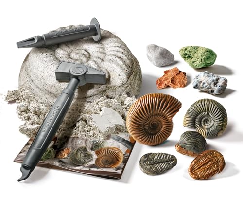 Clementoni Science Lab Minéraux Kit fossiles à Creuser Roches Jeu Scientifique paléontologie pour Enfants minéralogie Laboratoire en Italien fabriqué en Italie 19371 - vue 5