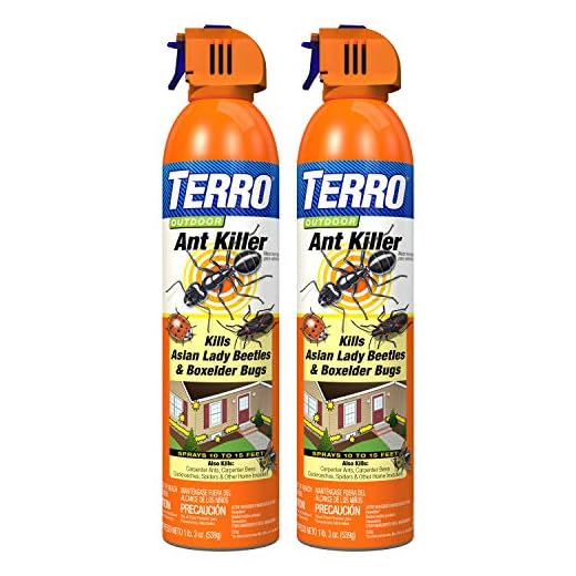 Terro T1700SR 19 oz Outdoor Ant Killer Spray-2 Pack, White