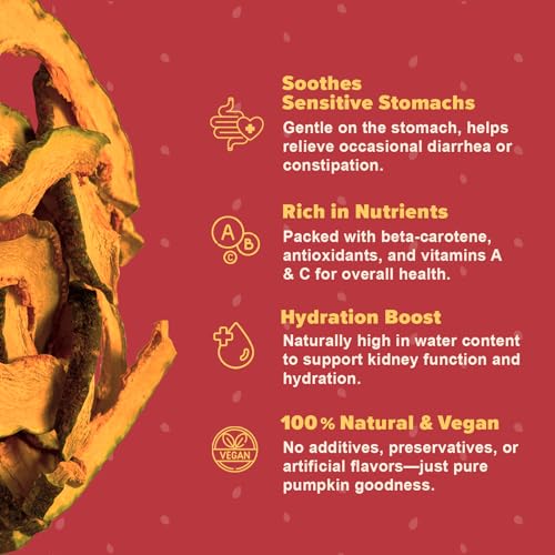 Image of Pumpkin Chips for Dogs - 100% Natural Single Ingredient Dog Treats - Crunchy & Crispy - Easy to Digest, Hypoallergenic, Grain-Free - Healthy Snack for All Breeds - 6 oz