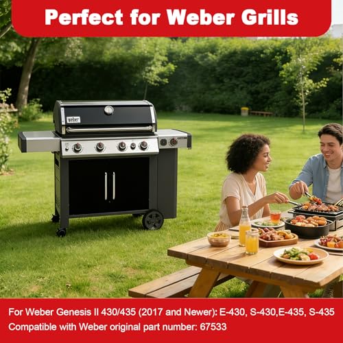 Image of DELSbbq 67533 Grill Igniter Kit for Weber Genesis II 400 Series Gas Grills, Igniter Module for Weber Genesis II E-435 S-435 E-430 S-430 Series Model