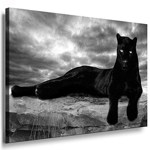 Fotoleinwand24 animaux» le motif panthère "aA0065/toile sur châssis, Bois, noir-blanc, 40x30 cm Cover