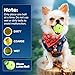Automatic Small Dog Ball Launcher - Remote Control Interactive Fetch Machine Thrower for Small and Medium Sized Dogs with 6 High-Bounce Washable Latex Balls, Training Clicker, and Whistle – Blue