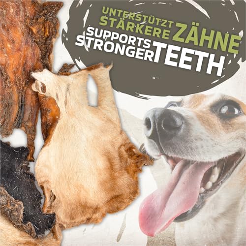 Rinderkopfhaut mit Fell für Hunde 1 kg (ca. 15–20 Stück) | Getrocknete Rinderkopfhaut Kauartikel | 100 % natürlich | Mit Fell | Luftgetrocknet | Getreidefrei | Langer Kauspaß für kleine & große Hunde