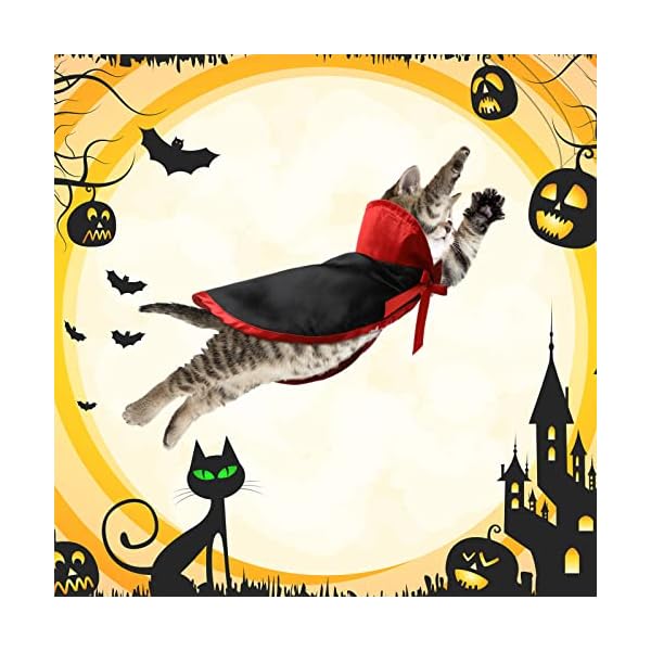 Potchen 5 pcs halloween vampire costume for cat, devil witch hat for cat, pet cat bat wings, cat pumpkin witch pet cape vampire costume for puppy cat cosplay dress up accessories - image 8