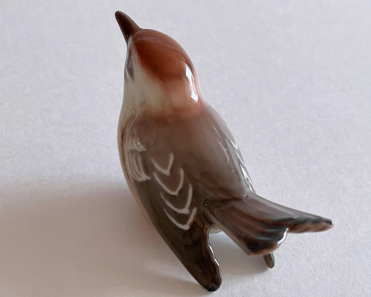 Amazon.co.jp: ダール イェンセン Dahl Jensen キクイタダキ 鳥
