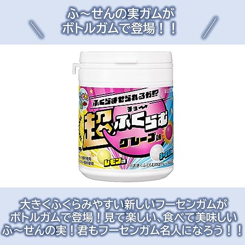 ロッテ ふ～せんの実ボトル ワクワクみっくす!その3