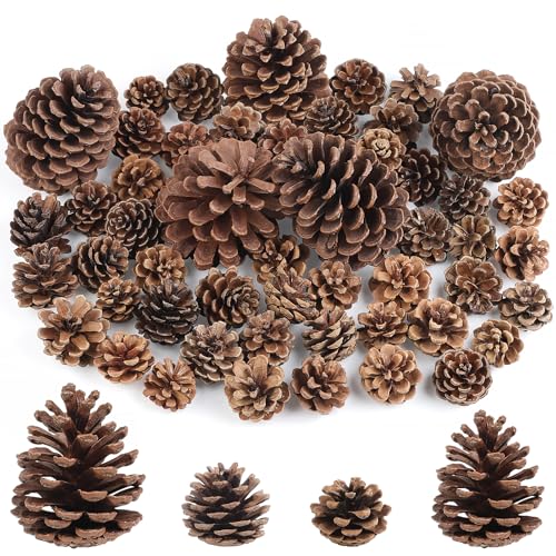 Wlicon 55 Peças Pinhas Naturais Pinhas Natalinas Decorativas Grande, Médio, Tamanho Pequeno para Natal Dia de Ação de Graças Outono e Presentes DIY