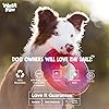 West-Paw-Seaflex-Sailz-Dog-Toy-Flying-Disc--Machine-Washable-Dog-Toys-for-Moderate-Chewers--Eco-Friendly-Zogoflex-Toys-for-Dogs--Perfect-for-Gnawing-Fetch-Catch-Pet-Training--3-Colors Flying Dog Toy For Moderate Chewers