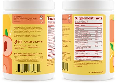 Image of Wellah Creatine + Electrolytes Powder (Peach Mango) 30 Servings | Hydration Drink Mix with 3g of Creatine Monohydrate
