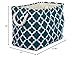 DII Polyester Container with Handles, Lattice Storage Bin, Large, Teal