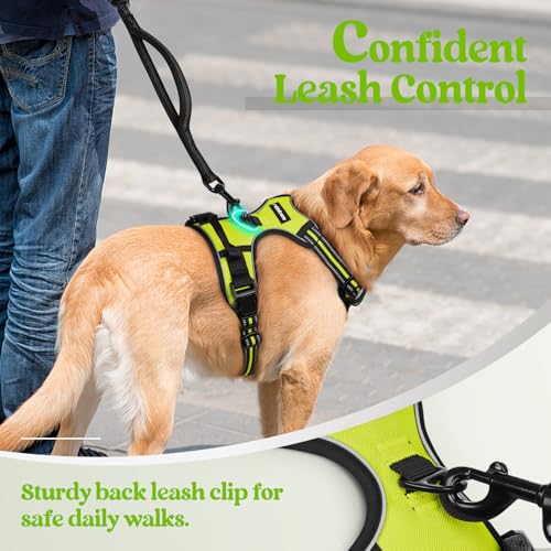 Image of rabbitgoo Dog Harness No Pull with 2 Leash Clips, Adjustable Soft Padded, Reflective Oxford No Choke Pet Vest with Easy Control Handle for Medium Sized Dogs, Green, M