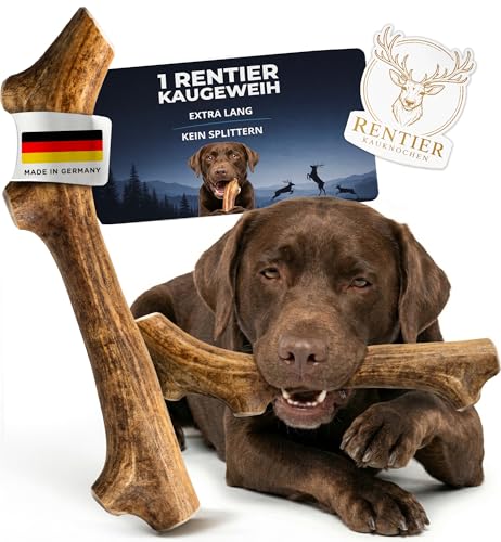 Themahund Kaugeweih Hund echtes Rentier | Alternative zu Hirschgeweih Hund & Kauknochen | Extra Lang & Robust | Perfektes Kauholz & Unzerstörbares Kauspielzeug Hunde (M 1 Stück)