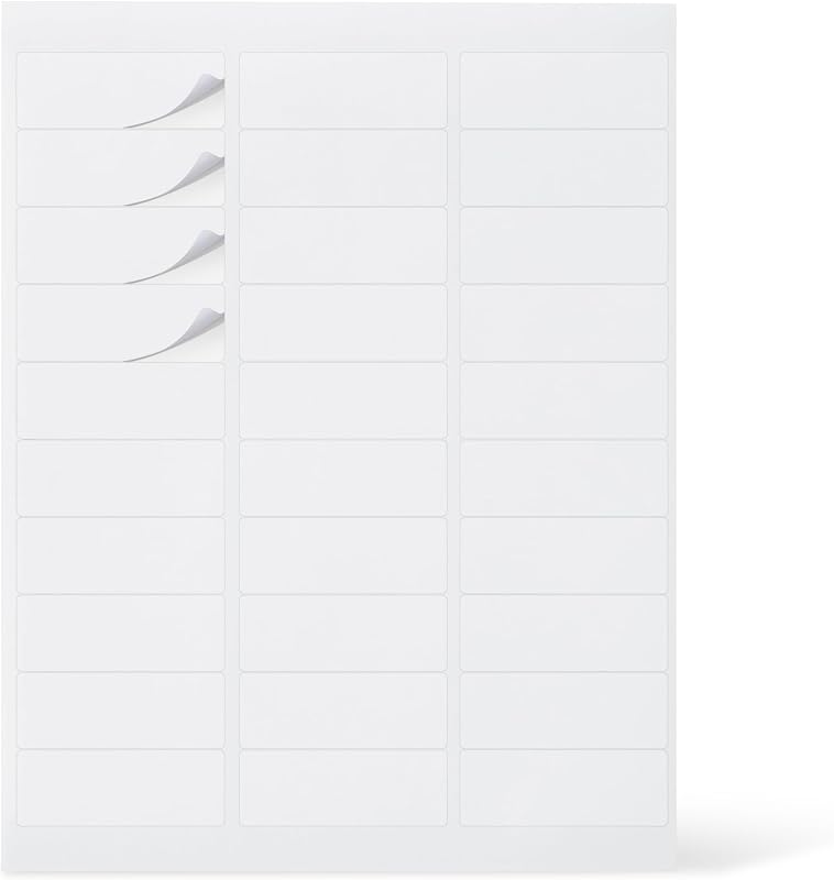 Printable Address Labels, White, 1" x 2-5/8", 3000 Blank Mailing Labels